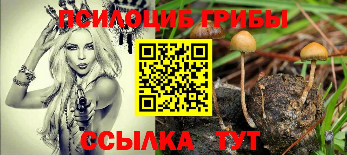 Галлюциногенные грибы Psilocybe  Галлюциногенные грибы ЛСД  Вход с VPN  Когалым 